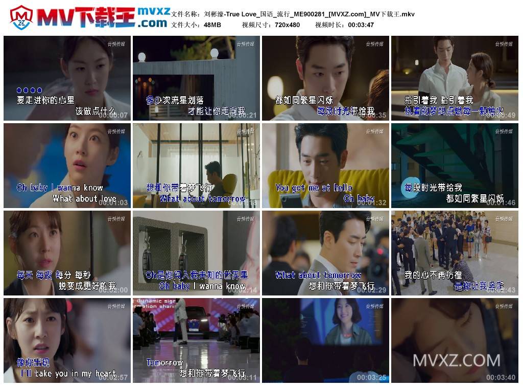 刘彬濠-True Love_国语_流行_ME900281